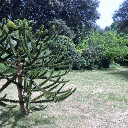 Hébergement de vacances L Oceane Proche Mer Et Foret Dolus-d'Oléron