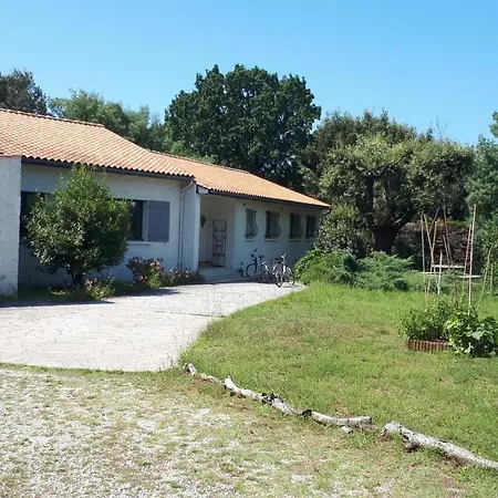 L Oceane Proche Mer Et Foret *
